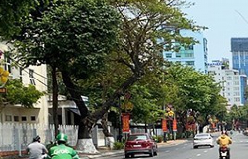 Bán đất , hiện đang có sẵn nhà cấp 4 , gần chợ, trường học, khu vực an ninh tốt. Diện tích đất 104m2, diện tích sử dụng 87m2 Đường  5m, Thọ Quang-  Sơn Trà - ĐN